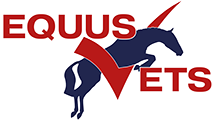 Equus Equine Vets